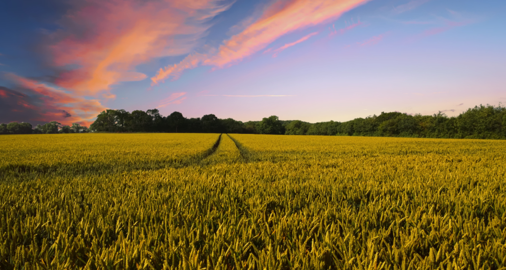 ÇİFTLİK ARAZİSİ NEDİR? 2 ANTALYADA GEZILECEK YERLER 44