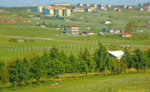 Arnavutköy Hacımaşlı Mah Satılık Arsa ve Tarla Fiyatları