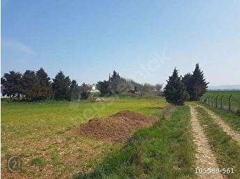 Çatalca İzzettin Mahallesi Satılık Arsa ve Tarla Fiyatları 2 catalca izzettin satilik arsa