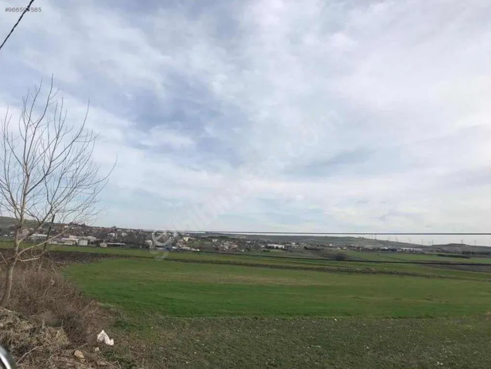 Çatalca Nakkaş Mahallesi Satılık Arsa ve Tarla Fiyatları 2 catalca nakkas tarla fiyatlari