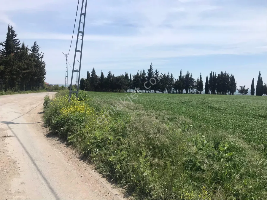 catalca oklali satilik arsa fiyatlari 2