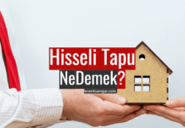 Hisseli Tapu Ne Demek?