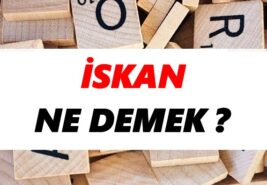İskan ne demek?