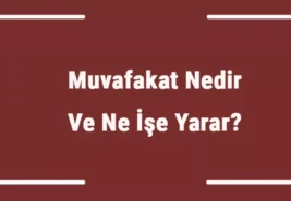 Muvafakatname Nedir? Muvafakatname Örneği.