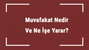 Muvafakatname Nedir? Muvafakatname Örneği.