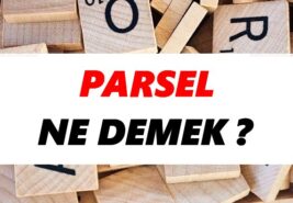 Parsel nedir?