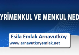 Gayrimenkul nedir? Menkul Nedir?
