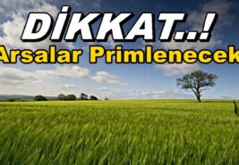 Çatalca’da Arsa Piyasasında Durgunluk: Fırsatları Değerlendirme Zamanı
